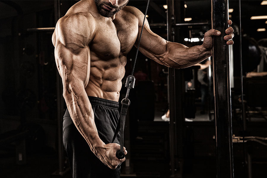 7 Must-Do Exercises for Men to Build Muscles Effectively – DMoose